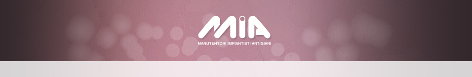 Consorzio MIA